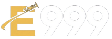 E999.NET.PK